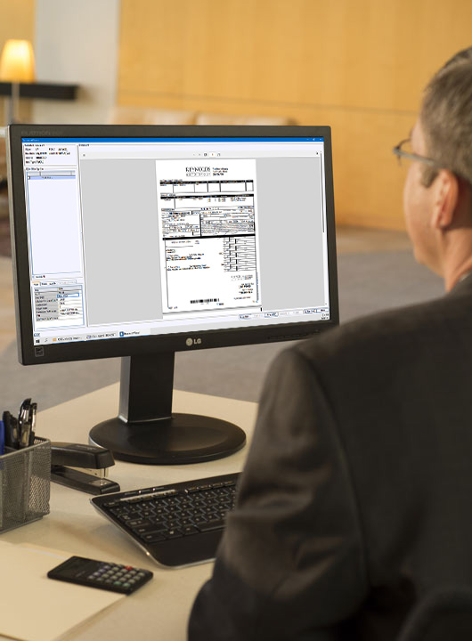 person looking at a digital document